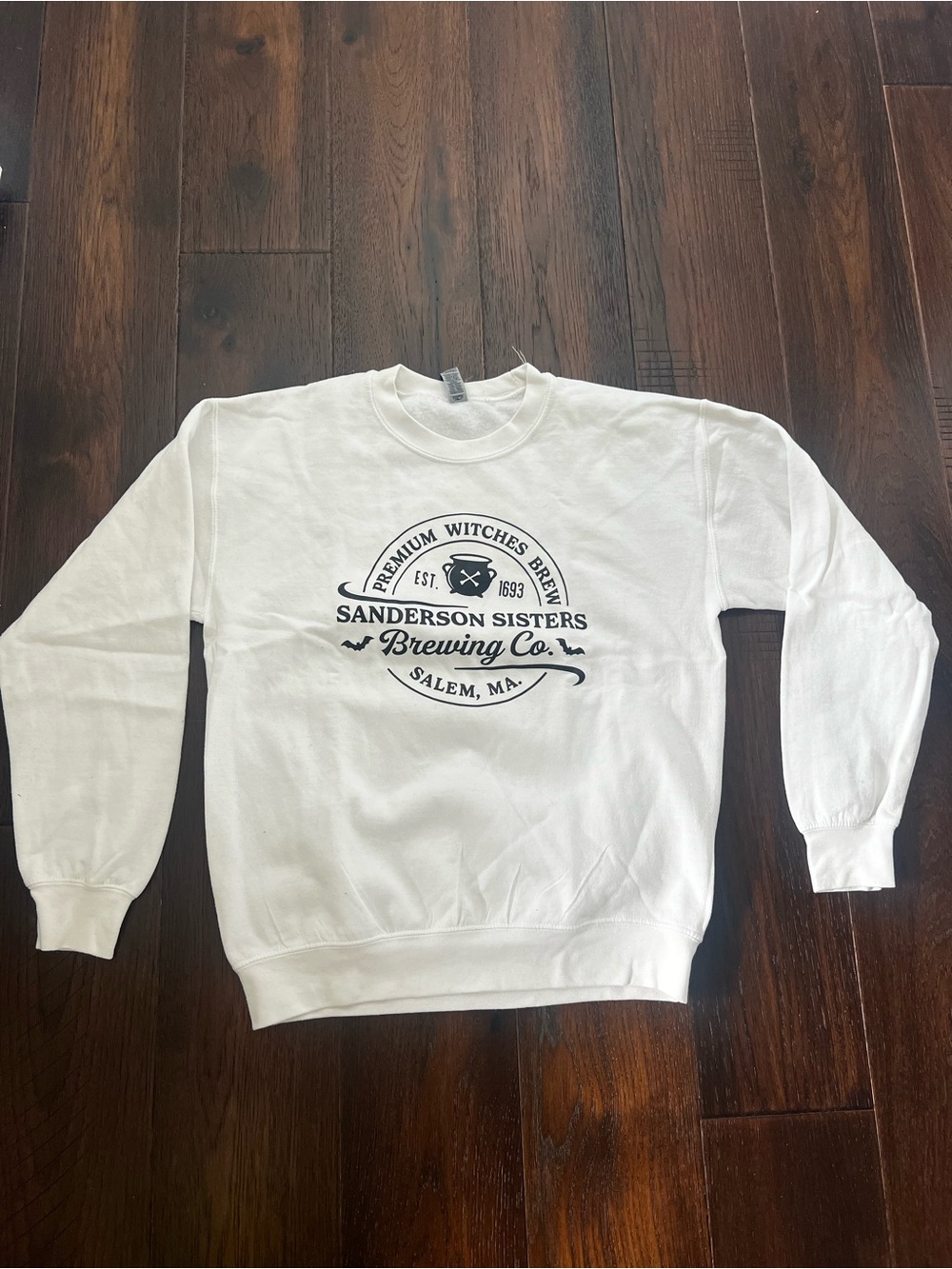 Sanderson sister sweatshirt